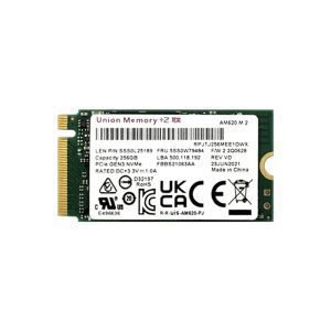 SSD M.2 UNION MEMORY AM620 256GB STOCK